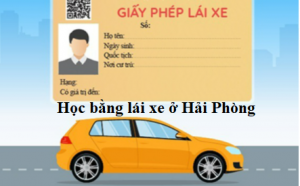 Học bằng lái xe ở hải phòng