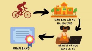 Đào tạo lái xe Hải Dương