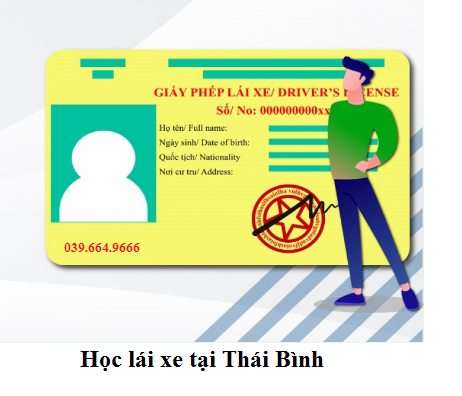 Học lái xe tại Thái Bình